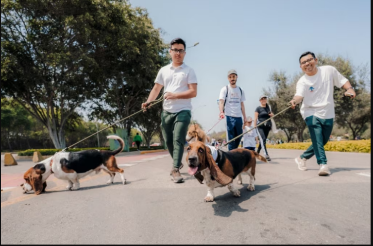 Primera Corrida Familiar con Perros: Cuándo, dónde y cómo inscribirse