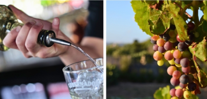 Día Nacional del Pisco: por qué en Chile se celebra cada 15 de mayo y qué actividades se realizan