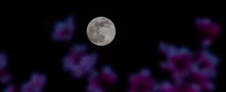 Desde Chile tendremos la suerte de ver uno de los eventos astronómicos más esperados del mes: la Luna de Flores.