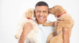 ¿Sabes en qué etapa de su vida está tu perro? Aprende a reconocerla y alimentarlo mejor