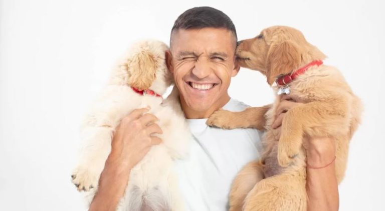¿Sabes en qué etapa de su vida está tu perro? Aprende a reconocerla y alimentarlo mejor