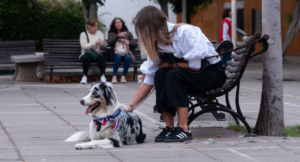 Del amor incondicional al riesgo de la humanización: estudio analiza cómo cambiaron las relaciones de las personas con sus mascotas