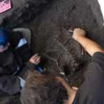 Descubren restos humanos que podrían tener hasta cinco mil años antigüedad en San Vicente de Tagua Tagua