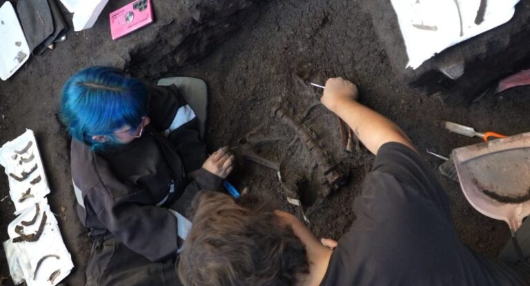 Descubren restos humanos que podrían tener hasta cinco mil años antigüedad en San Vicente de Tagua Tagua