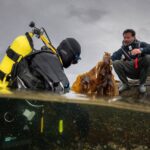La inédita investigación que está caracterizando los inexplorados bosques submarinos del sur de Chile
