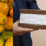 “Propusimos utilizarla como sustituto de la madera aglomerada”: Desarrollan innovador material a base de semillas de papaya