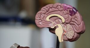 La gran deuda del estudio del Alzheimer en América Latina: “Las personas no saben que la proyección para 2050 es muy desesperanzadora”