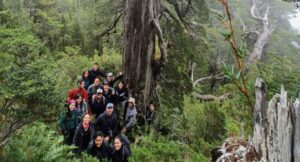 Para formar nuevos especialistas: impulsan nuevo laboratorio para restaurar bosques nativos frente al cambio climático