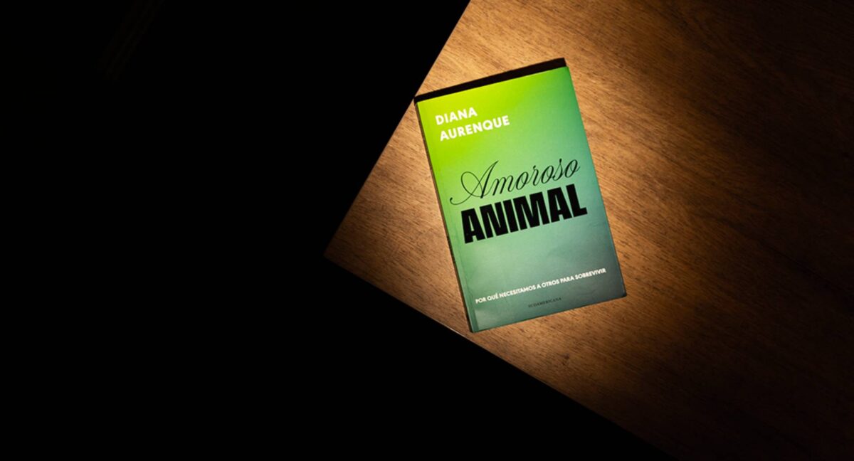 Diana Aurenque y las reflexiones de su nuevo libro “Amoroso Animal”: “Hay belleza incluso en los dolores por amor”