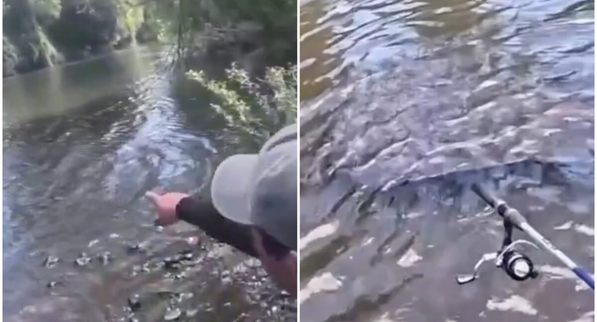 “El Cuero” y el terror en aguas profundas: cómo un video desempolvó una de las supersticiones más arraigadas del sur de Chile