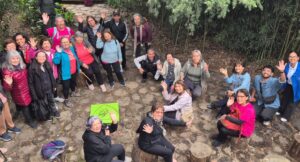 Contra el estrés y el cemento: cómo los baños de bosque se convierten en oasis terapéuticos para envejecer mejor